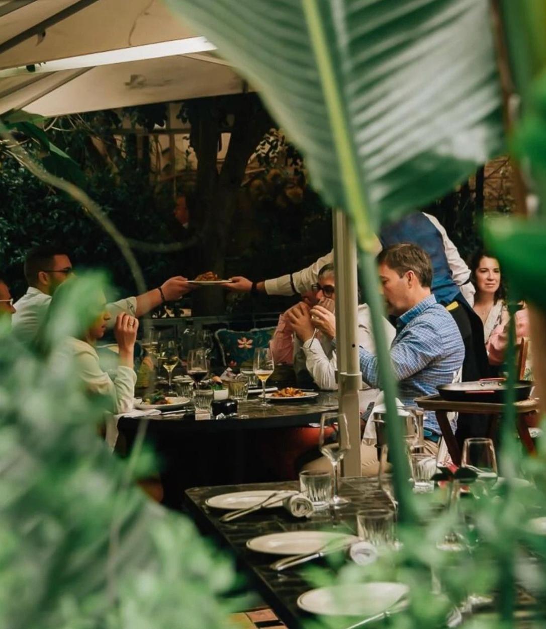 Invitados almorzando bajo el techo vidriado, entre plantas